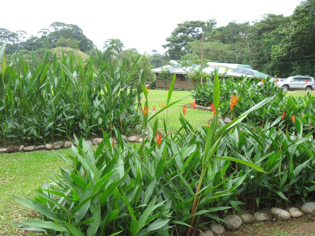 Hacienda Pozo Azul Hotel Sarapiquí Eksteriør billede