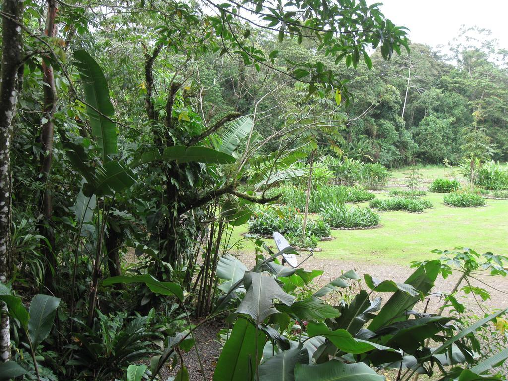 Hacienda Pozo Azul Hotel Sarapiquí Eksteriør billede