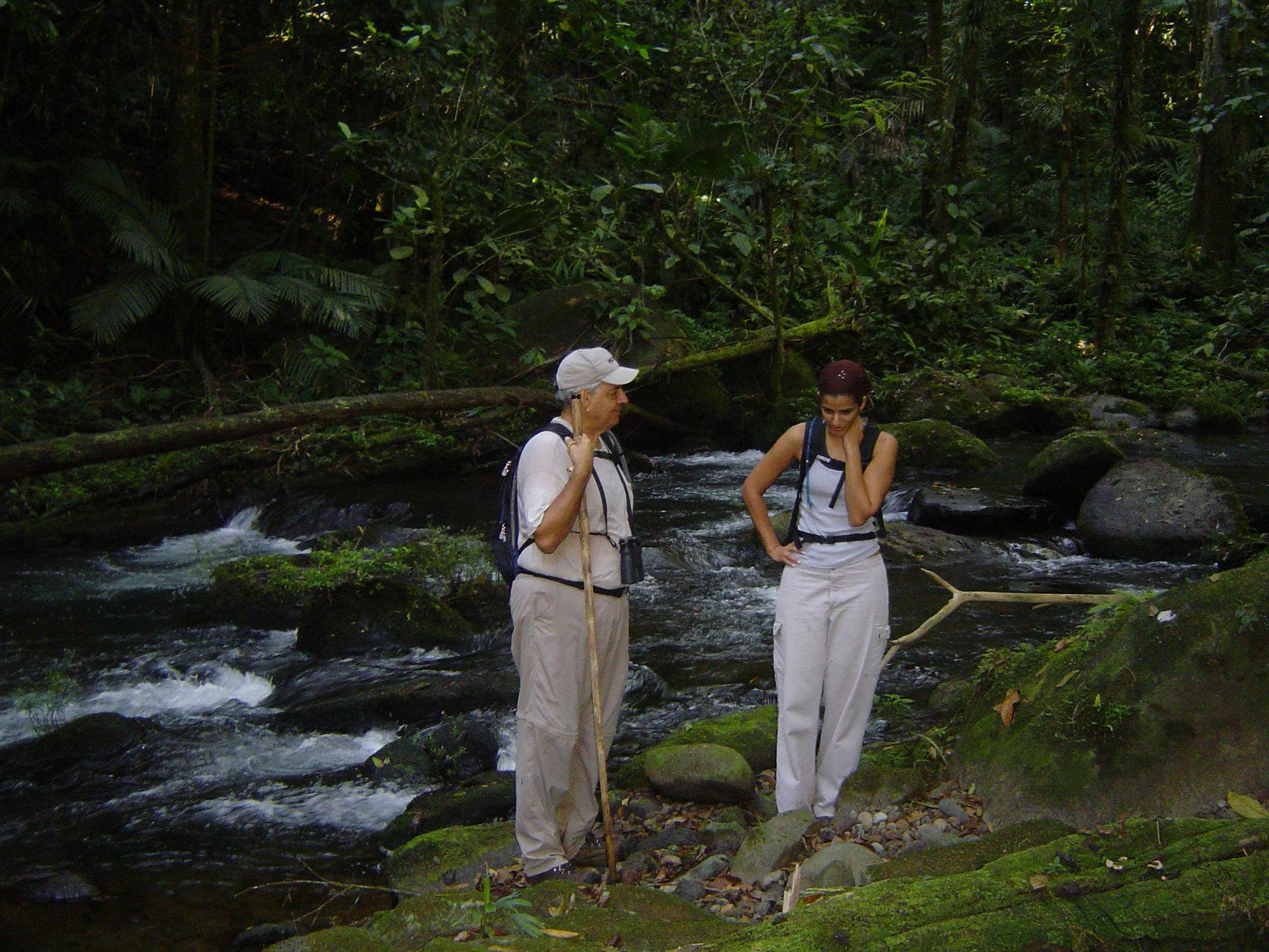 Hacienda Pozo Azul Hotel Sarapiquí Eksteriør billede