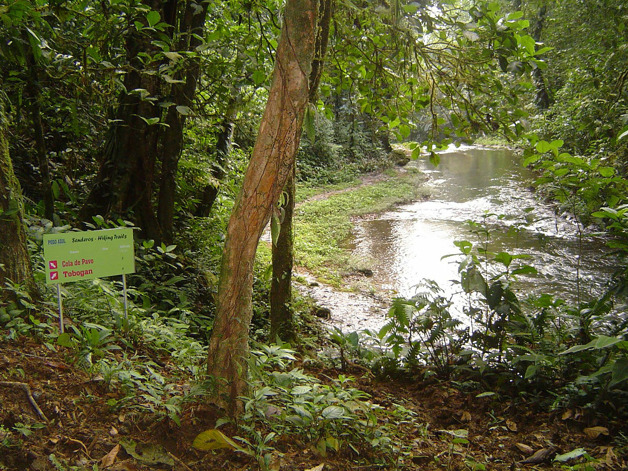 Hacienda Pozo Azul Hotel Sarapiquí Eksteriør billede