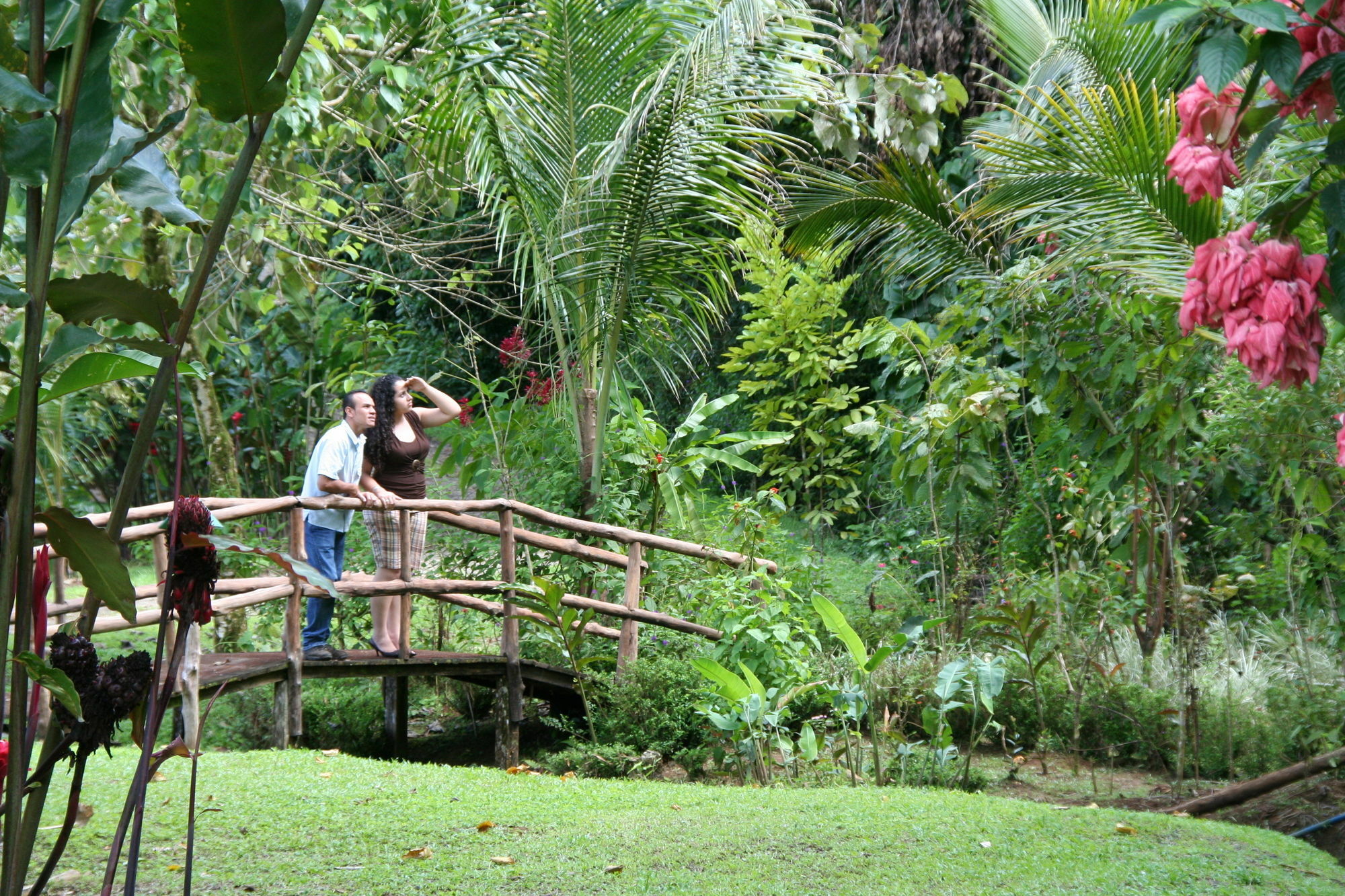 Hacienda Pozo Azul Hotel Sarapiquí Eksteriør billede