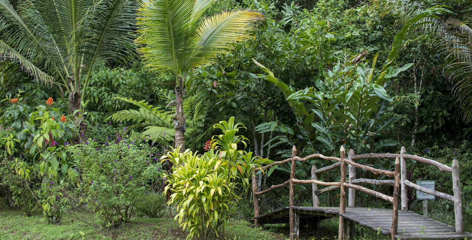 Hacienda Pozo Azul Hotel Sarapiquí Eksteriør billede