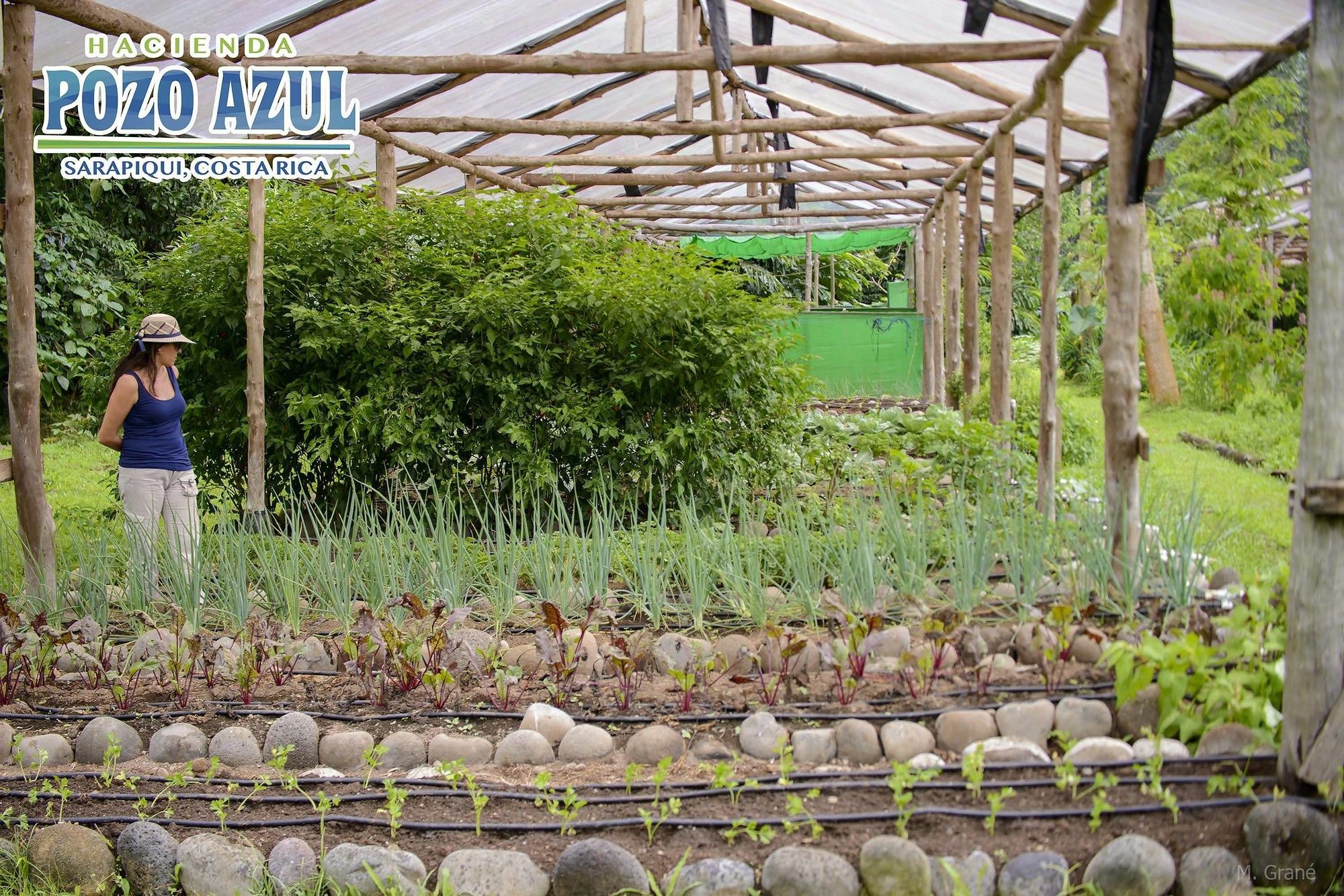 Hacienda Pozo Azul Hotel Sarapiquí Eksteriør billede