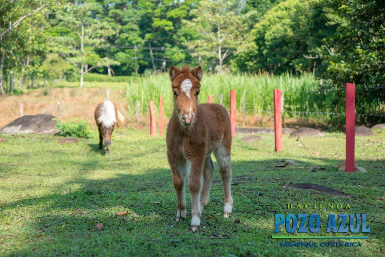 Hacienda Pozo Azul Hotel Sarapiquí Eksteriør billede