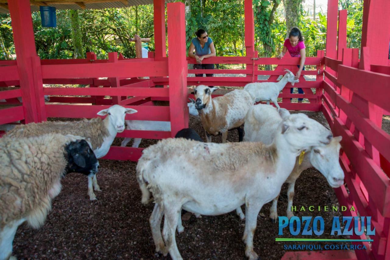 Hacienda Pozo Azul Hotel Sarapiquí Eksteriør billede