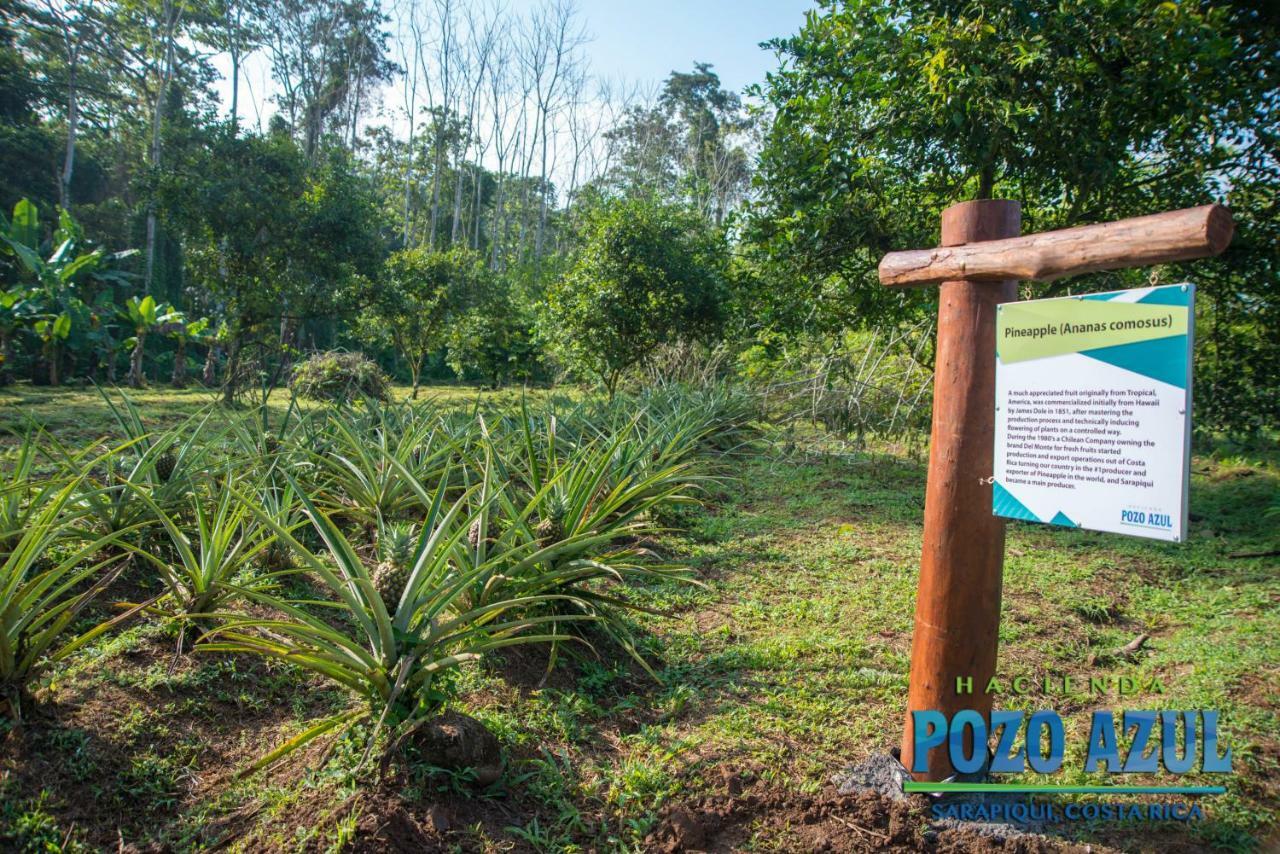 Hacienda Pozo Azul Hotel Sarapiquí Eksteriør billede