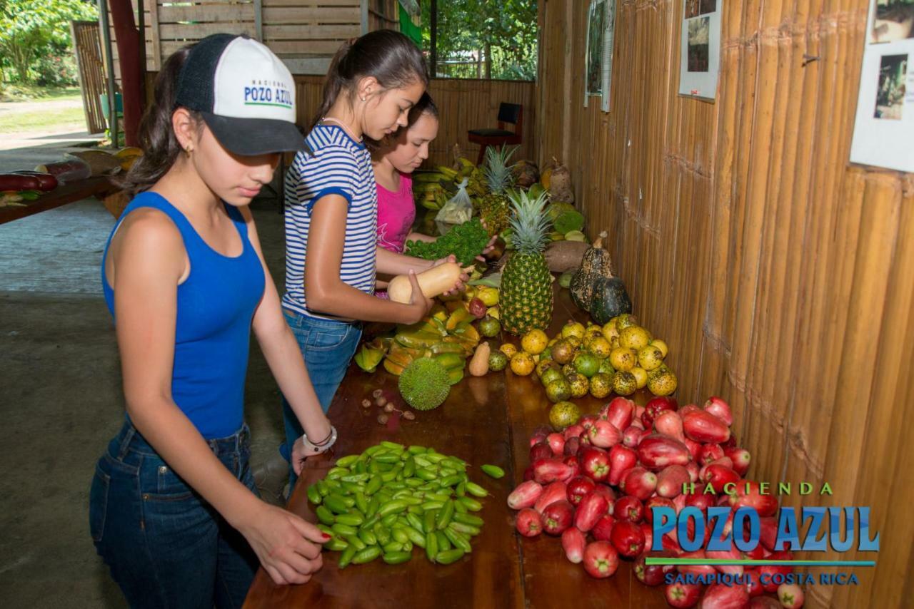 Hacienda Pozo Azul Hotel Sarapiquí Eksteriør billede