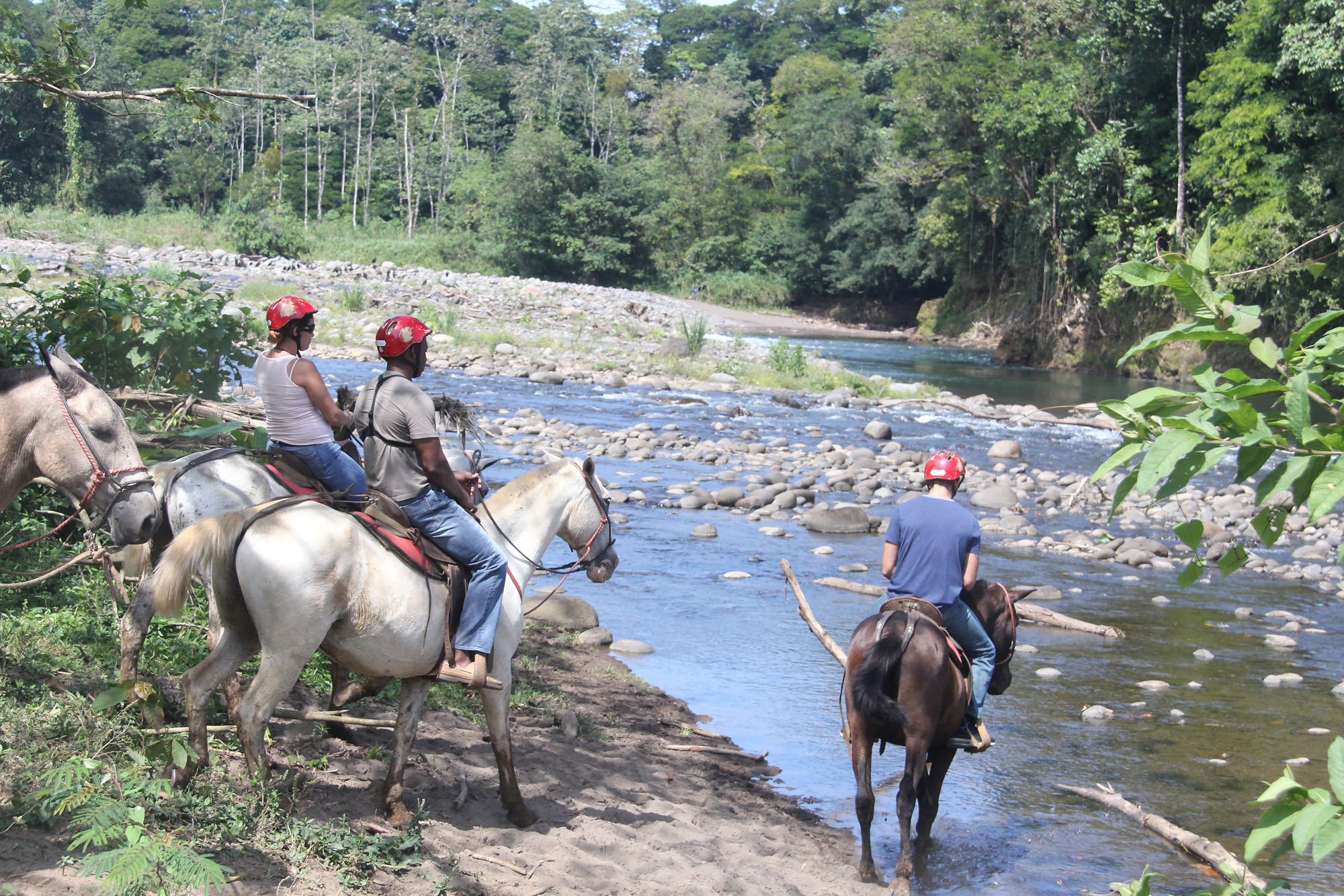 Hacienda Pozo Azul Hotel Sarapiquí Eksteriør billede